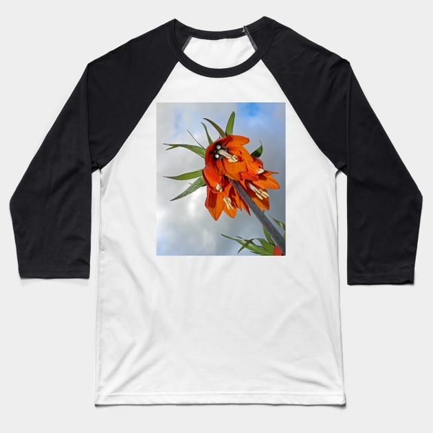 Orange Fritillaria from underneath Baseball T-Shirt by avrilharris